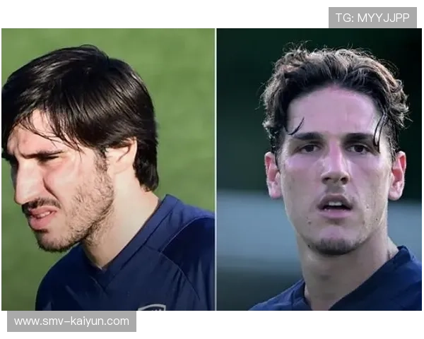 意大利足协调查非法赌博，多名球员涉案